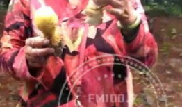 采蘑菇视频,跟随采蘑菇视频，体验大自然的馈赠